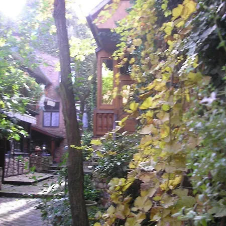 Gite Le Riesling Bergheim Exterior photo