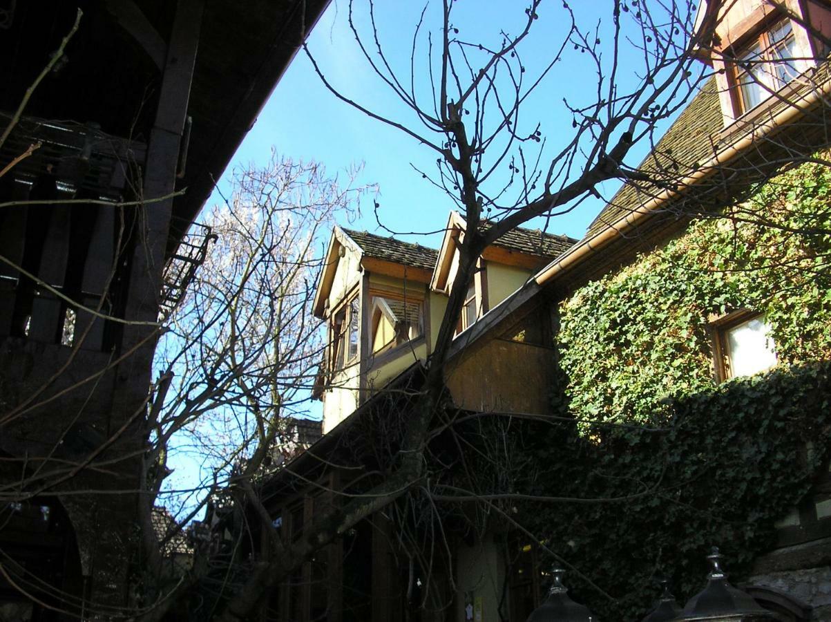 Apartment Le Riesling Bergheim